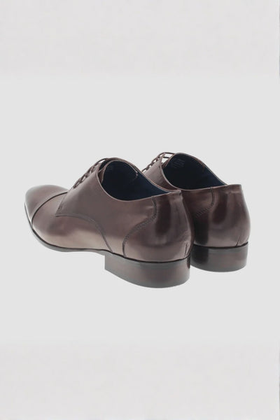 Martino Carolus Luca Brown Dress Shoe