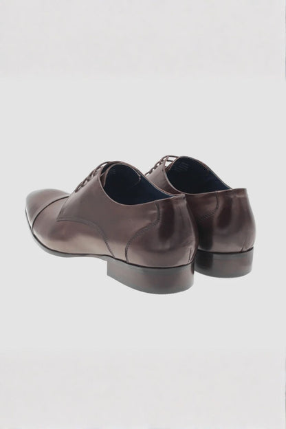 Martino Carolus Luca Brown Dress Shoe