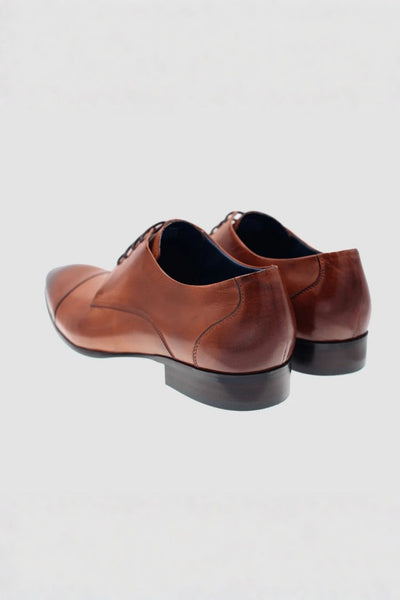 Martino Carolus Luca Dark Tan Dress Shoe